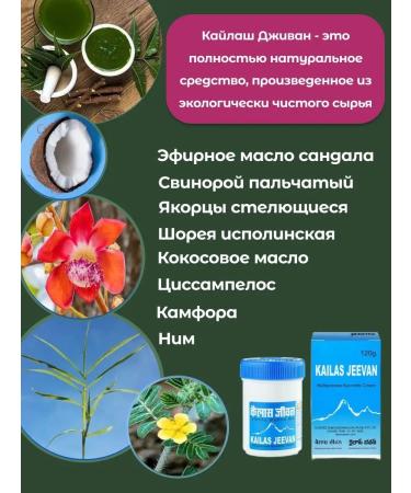 Kailas Jeevan Healing ointment Indian kalyash jivan - Buy Online on GoSupps.com