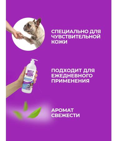 Wellroom CHAMPUNE for dogs and cats with chlorhexidine - Buy Online on GoSupps.com
