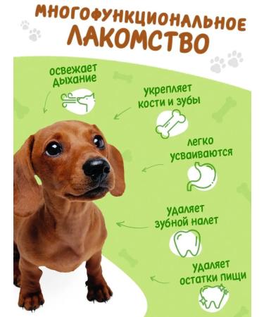 Toothpicks for dogs of small breeds with the taste of beef 12 l - Buy Online on GoSupps.com