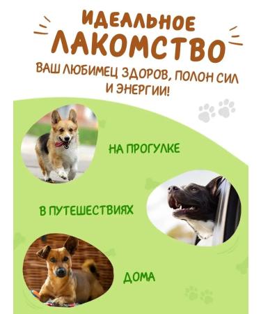 Toothpicks for dogs of small breeds with the taste of beef 12 l - Buy Online on GoSupps.com