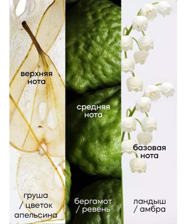 TOUCHY Cream Batter for Body perfumed with bergamot and lily of the valley - Buy Online on GoSupps.com