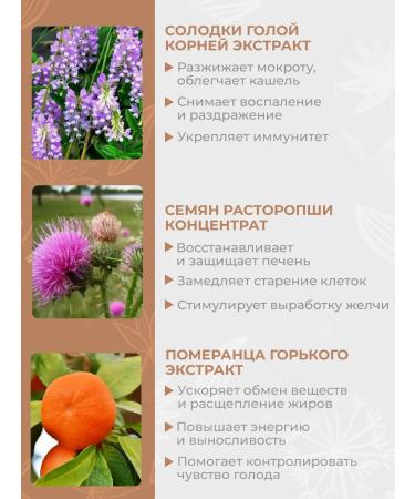 SLIM&Lite Vitamins and detox for the liver - Buy Online on GoSupps.com