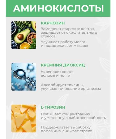 SLIM&Lite Vitamins and stress protection - Buy Online on GoSupps.com