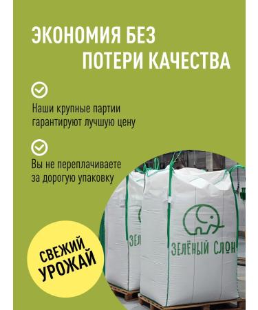 Green elephant Sesame -white seeds for salads and tachins 1 kg - Buy Online on GoSupps.com