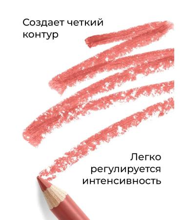 Lip pencil nude matte nude persistent circuit breaker - Buy Online on GoSupps.com