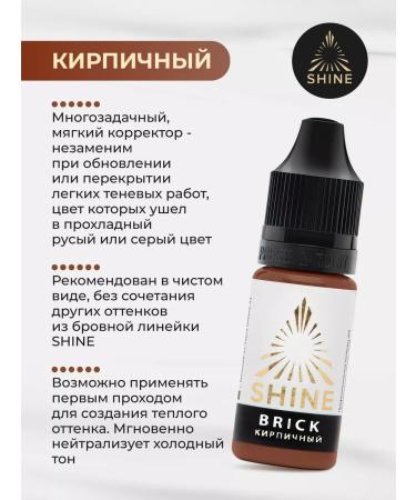 SHINE PIGMENTS Shine pigment brick for permanent tattoo eyebrows shaine - Buy Online on GoSupps.com