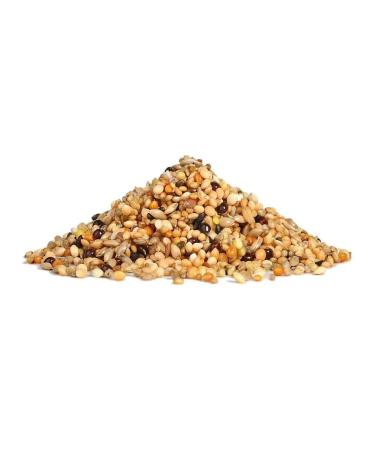 Dry food for exotic birds Rio main diet 1 kg - Buy Online on GoSupps.com