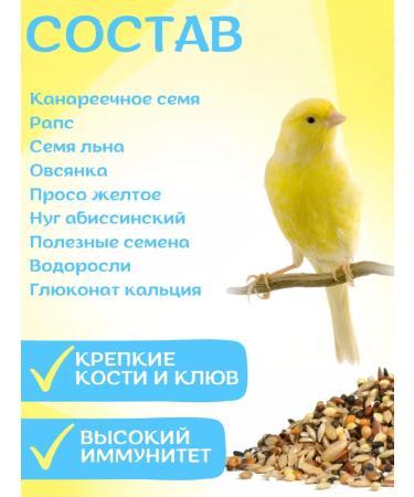 Feed for rio canaries the main diet of 1 kg - Buy Online on GoSupps.com