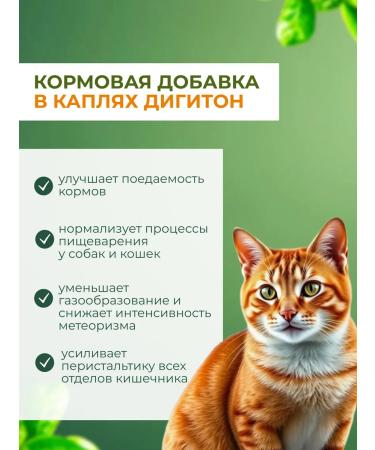 Himalaya Since 1930 Digiton fodder additive for digestion of dogs of cats drops - Buy Online on GoSupps.com