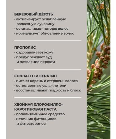 VEDA Balm shampoo restoring with tar propolis 500ml - Buy Online on GoSupps.com