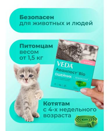 VEDA A collar from fleas and ticks for cats Avanpost BIO - Buy Online on GoSupps.com