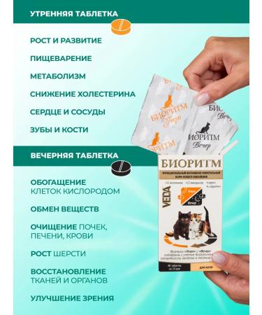 VEDA Vitamins for kittens (from 2 months) biorhythm - Buy Online on GoSupps.com