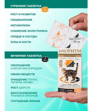 VEDA Vitamins for cats with the taste of chicken biorhythm - Buy Online on GoSupps.com