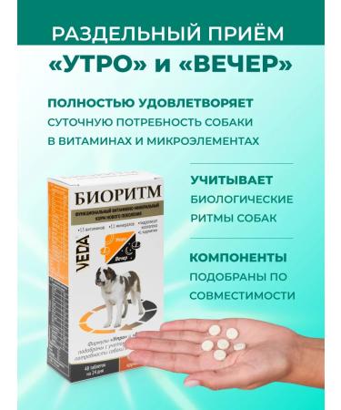 VEDA Vitamins for dogs of large breeds (more than 30 kg) biorhythm - Buy Online on GoSupps.com