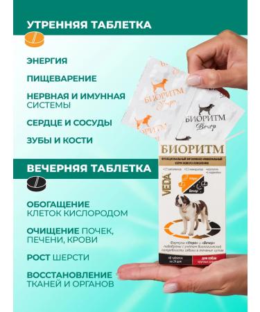 VEDA Vitamins for dogs of large breeds (more than 30 kg) biorhythm - Buy Online on GoSupps.com