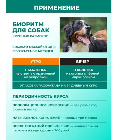 VEDA Vitamins for dogs of large breeds (more than 30 kg) biorhythm - Buy Online on GoSupps.com