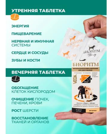 VEDA Vitamins for puppies (from 2 months) biorhythm - Buy Online on GoSupps.com