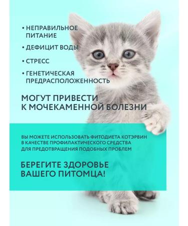 VEDA MKB prevention means of cats dogs Kotarvin 1UP 3 FL - Buy Online on GoSupps.com