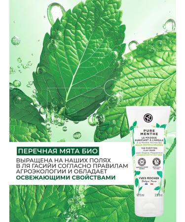 Yves Rocher Face mask cleansing with clay and peppermint bio - Buy Online on GoSupps.com