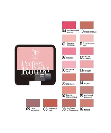 TF Cosmetics Facial blush compact Perfect Powder Rouge 05 Champagne - Buy Online on GoSupps.com