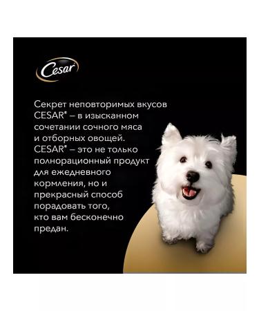 CESAR Dog feed 85 g 28 pcs - Buy Online on GoSupps.com