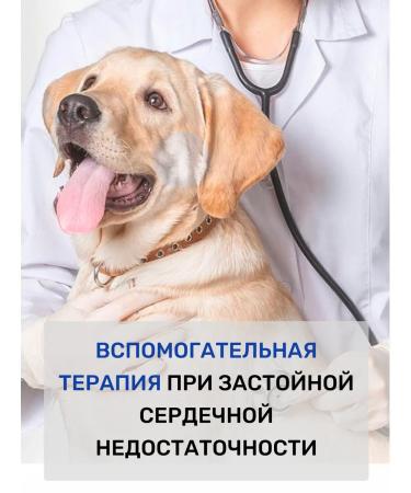 Farmina Dry Farmin's food Vet Life Renal for dogs 12kg - Buy Online on GoSupps.com