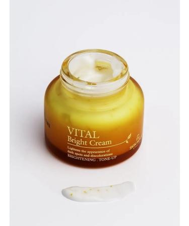 The Skin House Skin radiance Vital Bright 50 ml - Buy Online on GoSupps.com