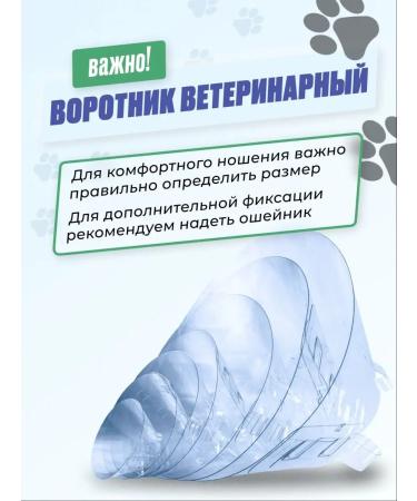 Brave heart Veterinary collar for cats and dogs for veterinum - Buy Online on GoSupps.com