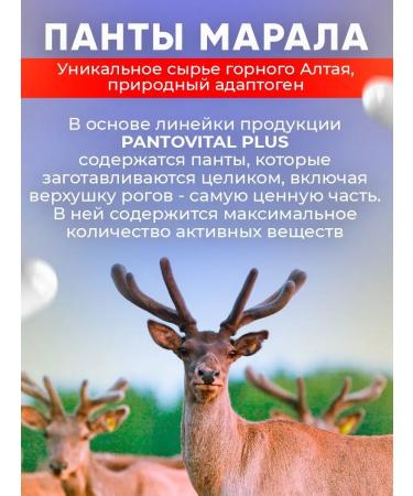 Pantovital Panta Maral and Marali root - Buy Online on GoSupps.com