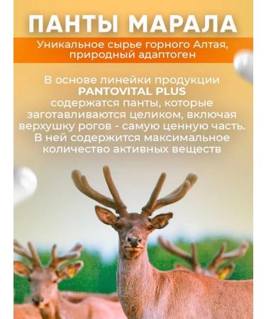 Pantovital Panta Maral and gold root for immunity - Buy Online on GoSupps.com