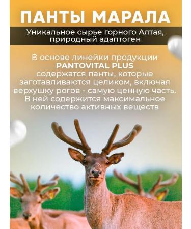 Pantovital Immunity capsules with maral pantas - Buy Online on GoSupps.com