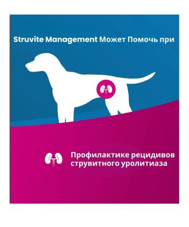 Farmina Dry Vet Life food for dogs Struvite Management 12kg - Buy Online on GoSupps.com