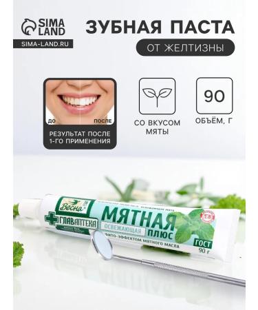Spring Toothpaste refreshing for the whole family 90 g