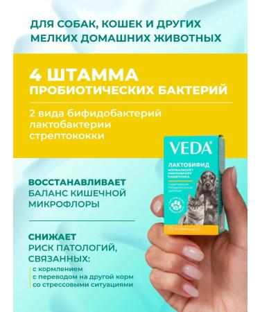 VEDA A complex of probiotics for cats and dogs lactobifid 2 pcs - Buy Online on GoSupps.com