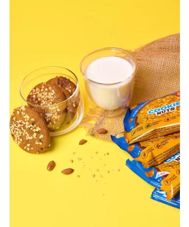 Snaq Fabriq Protein cookies in chocolate without sugar arahis 12 pcs - Buy Online on GoSupps.com