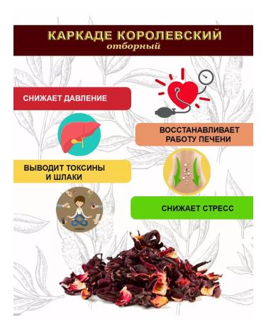 Shantirus Tea curtain large -leaf gift hibiscus 500 g - Buy Online on GoSupps.com