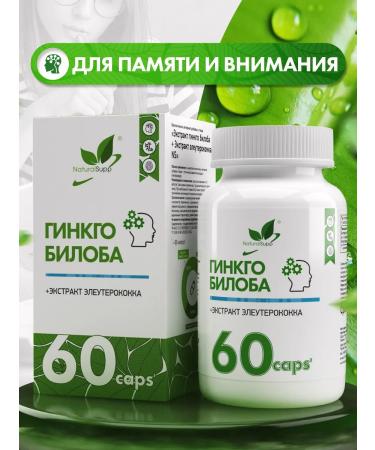 NaturalSupp Ginkgo biloba extract dietary supplement for memory and brain 60 capsules