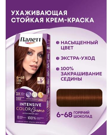 Palette Persistent cream-painting 6-68 (LW3) Hot chocolate 110 ml
