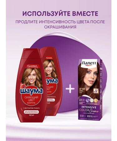 Palette Persistent cream-painting 6-68 (LW3) Hot chocolate 110 ml - Buy Online on GoSupps.com