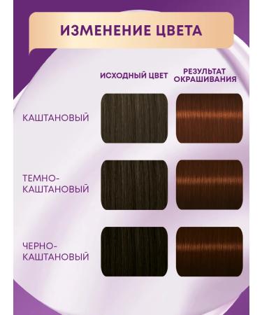 Palette Persistent cream-painting 6-68 (LW3) Hot chocolate 110 ml - Buy Online on GoSupps.com