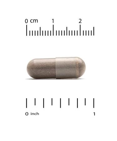 California Gold Nutrition Bacopa extract 320 mg 30 capsules - Buy Online on GoSupps.com