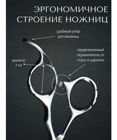 starrkomag Scissors hairdressing professional set - Buy Online on GoSupps.com