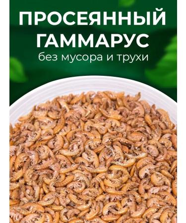 Big Tiny Gammarus for Khomyaks of Rats and Pisces - Buy Online on GoSupps.com