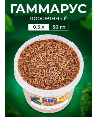 Big Tiny Gammarus for turtles of rats of snails and hamsters