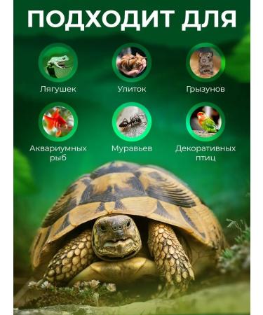 Big Tiny Gammarus for turtles of rats of snails and hamsters - Buy Online on GoSupps.com