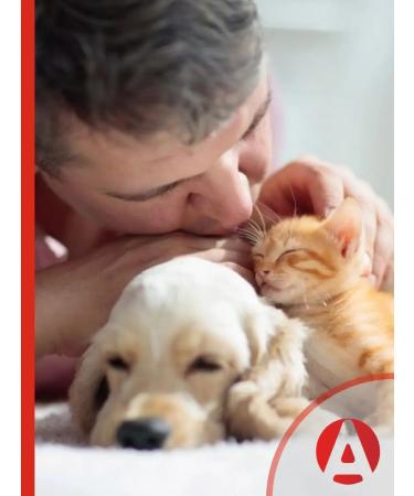 Apicenna Hepatovet asset for cats and dogs 50 ml - Buy Online on GoSupps.com