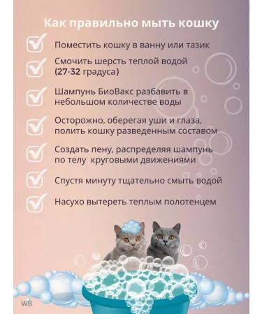 Biovax Shampoo for long -haired cats from stiffons and molting - Buy Online on GoSupps.com