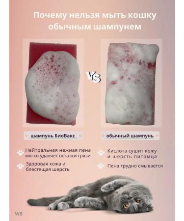 Biovax Shampoo for long -haired cats from stiffons and molting - Buy Online on GoSupps.com