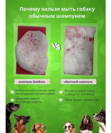 Biovax Jork shampoo Professional care - Buy Online on GoSupps.com