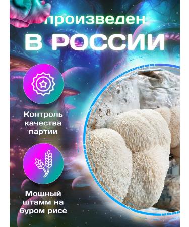 Dr Born Ezhovik creped capsules - Buy Online on GoSupps.com